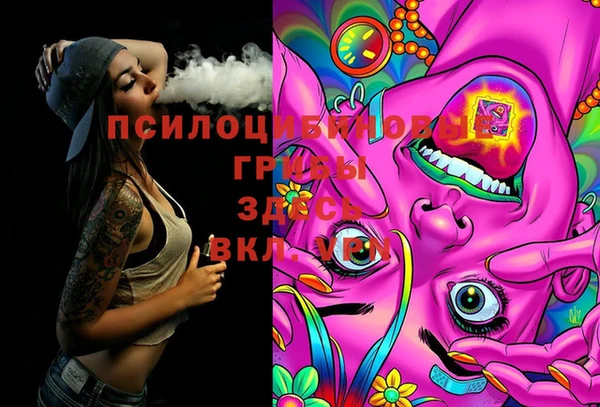 меф Ладушкин