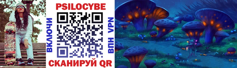 Галлюциногенные грибы Psilocybe Купить закладки Снежногорск