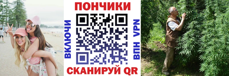 Купить закладки  Снежногорск  Конопля OG Kush 